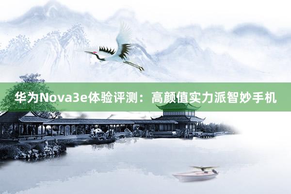 华为Nova3e体验评测：高颜值实力派智妙手机