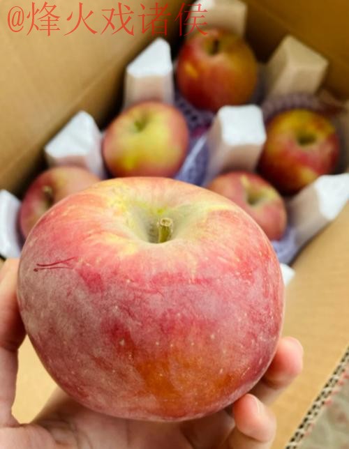 世界杯买球苹果 世界杯买球苹果